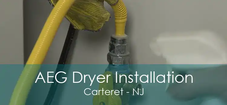 AEG Dryer Installation Carteret - NJ