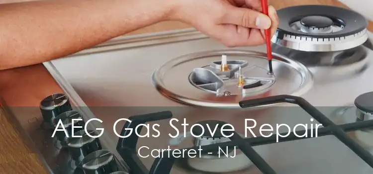 AEG Gas Stove Repair Carteret - NJ