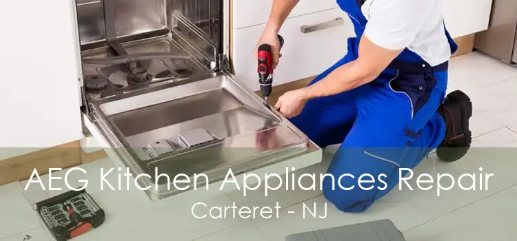 AEG Kitchen Appliances Repair Carteret - NJ