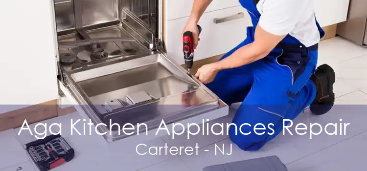 Aga Kitchen Appliances Repair Carteret - NJ