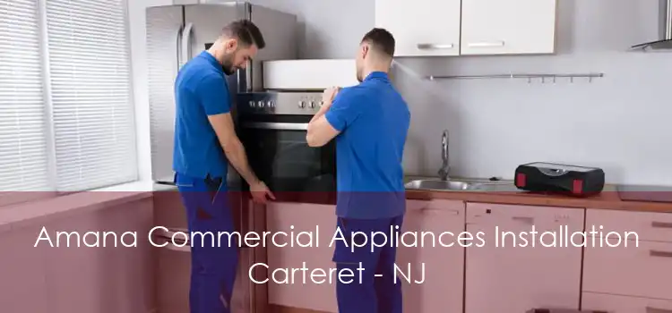 Amana Commercial Appliances Installation Carteret - NJ