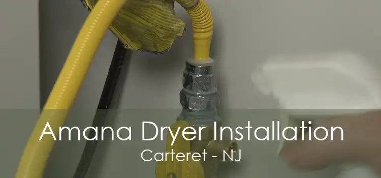 Amana Dryer Installation Carteret - NJ