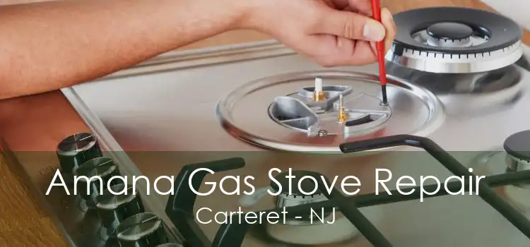 Amana Gas Stove Repair Carteret - NJ