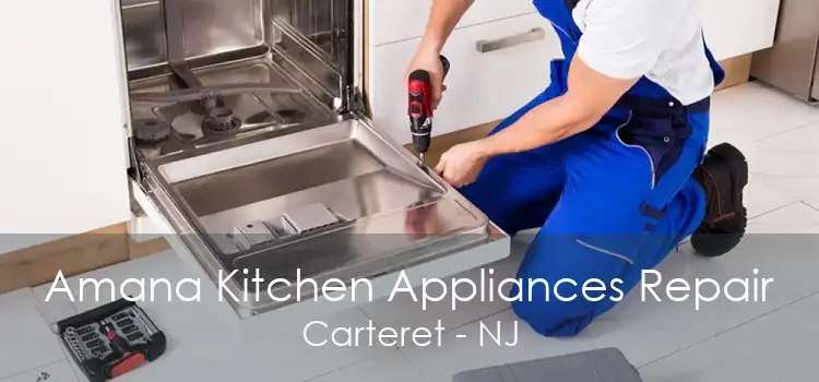 Amana Kitchen Appliances Repair Carteret - NJ