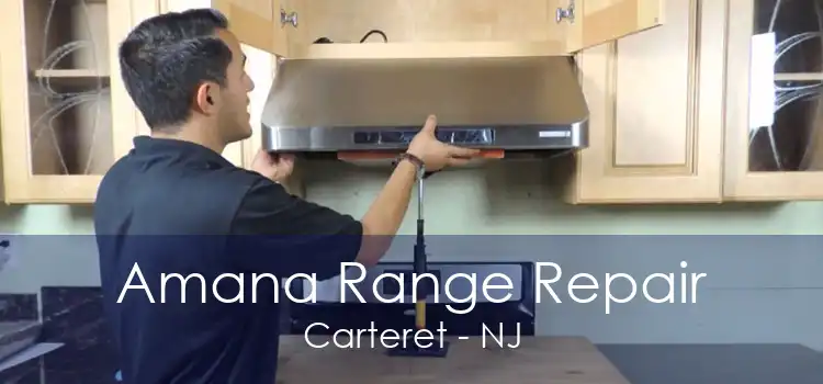 Amana Range Repair Carteret - NJ