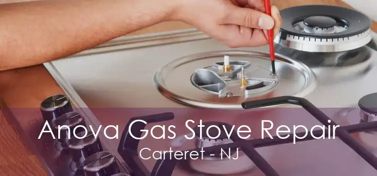 Anova Gas Stove Repair Carteret - NJ