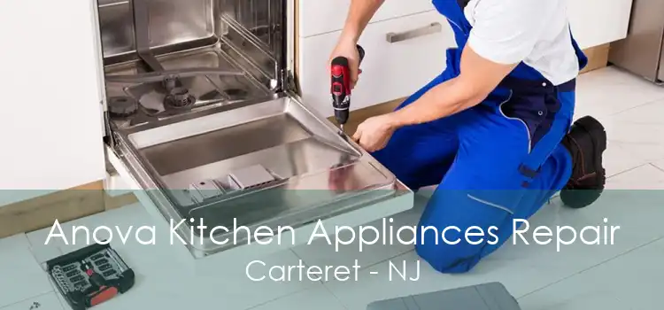 Anova Kitchen Appliances Repair Carteret - NJ