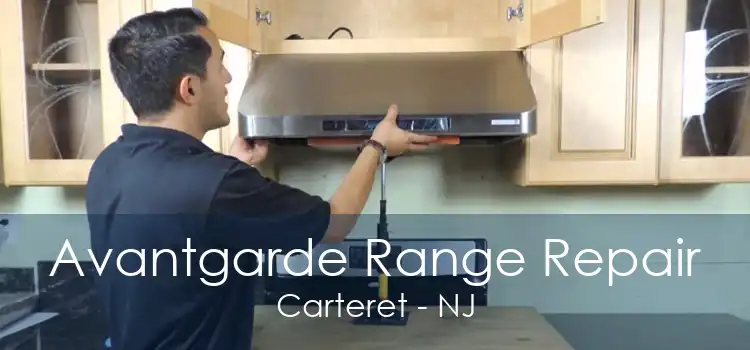 Avantgarde Range Repair Carteret - NJ