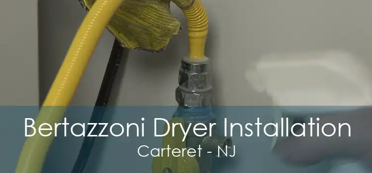 Bertazzoni Dryer Installation Carteret - NJ