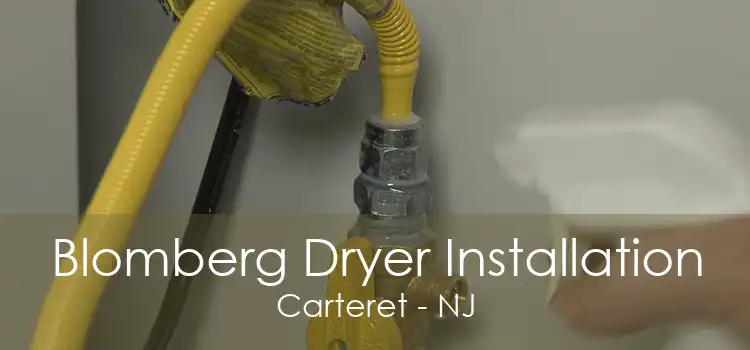 Blomberg Dryer Installation Carteret - NJ