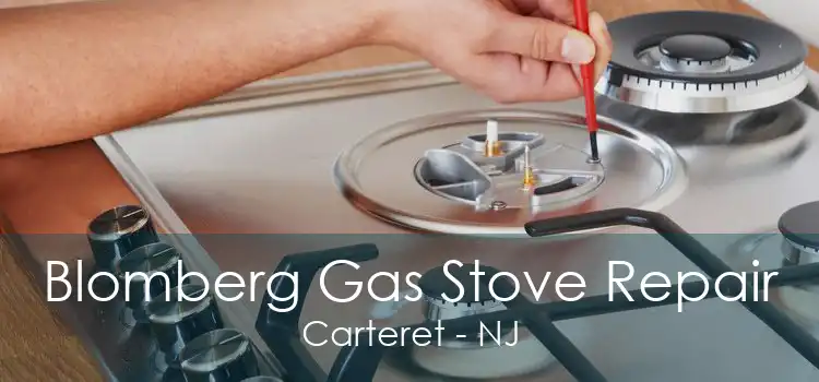 Blomberg Gas Stove Repair Carteret - NJ