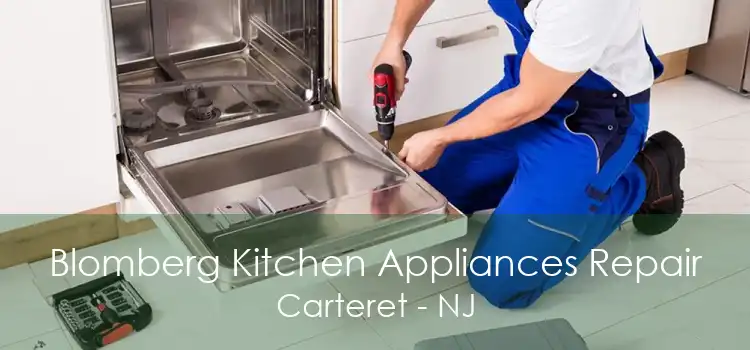 Blomberg Kitchen Appliances Repair Carteret - NJ