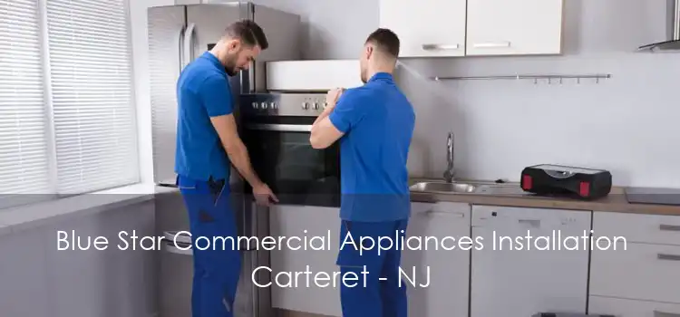 Blue Star Commercial Appliances Installation Carteret - NJ