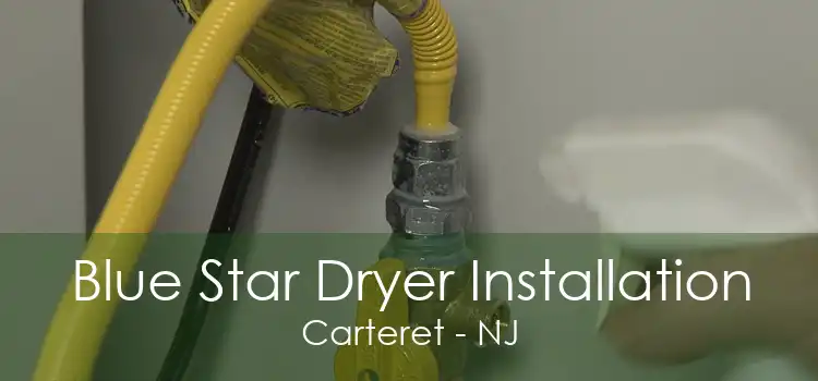 Blue Star Dryer Installation Carteret - NJ