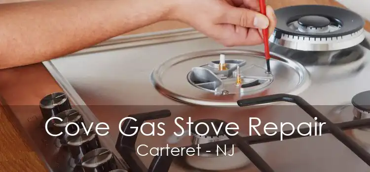 Cove Gas Stove Repair Carteret - NJ