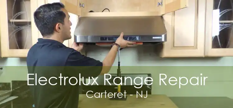 Electrolux Range Repair Carteret - NJ