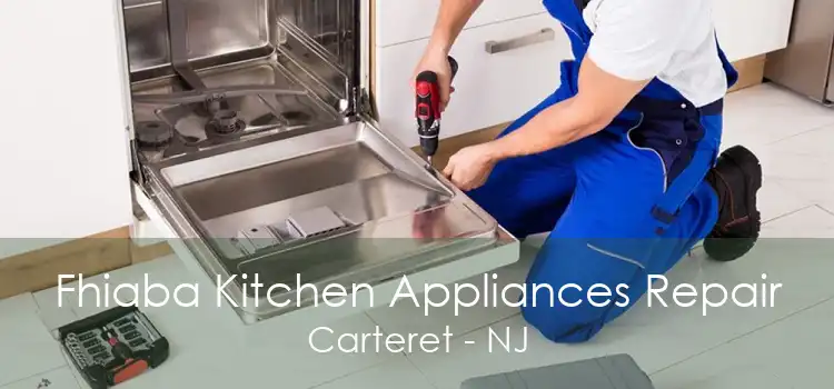 Fhiaba Kitchen Appliances Repair Carteret - NJ