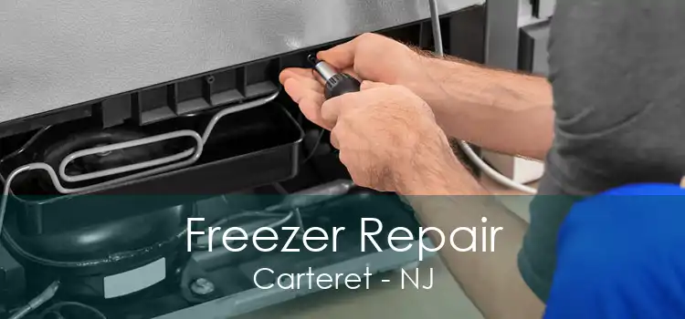 Freezer Repair Carteret - NJ