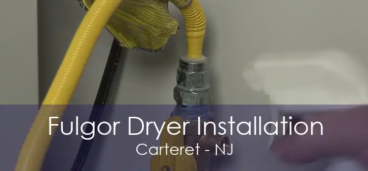 Fulgor Dryer Installation Carteret - NJ