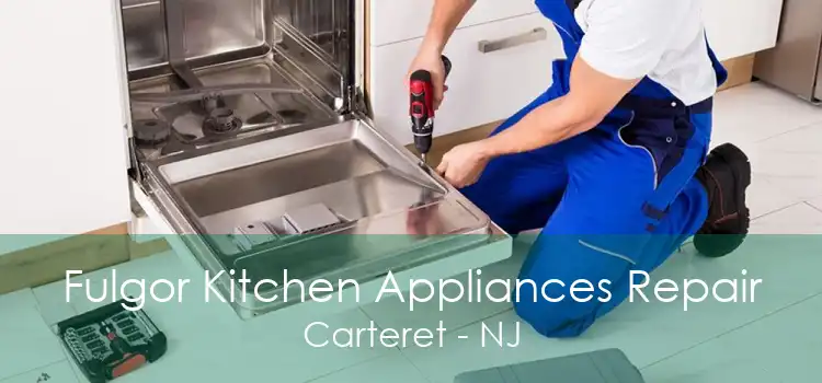 Fulgor Kitchen Appliances Repair Carteret - NJ