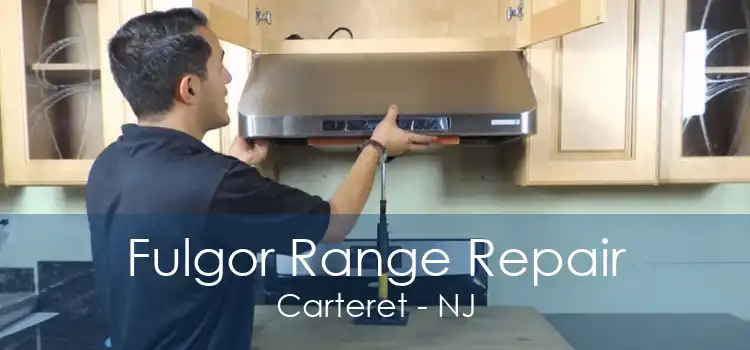 Fulgor Range Repair Carteret - NJ