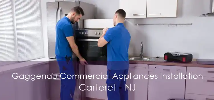 Gaggenau Commercial Appliances Installation Carteret - NJ