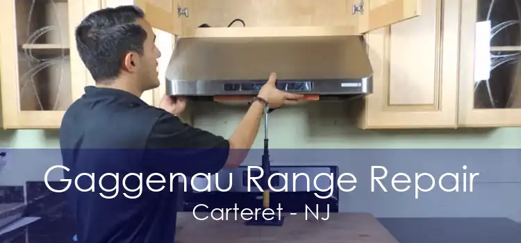 Gaggenau Range Repair Carteret - NJ