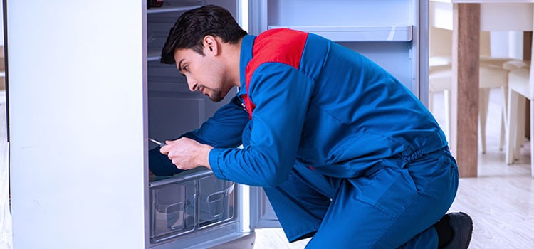 Freezer Repair Services in Carteret, New Jersey