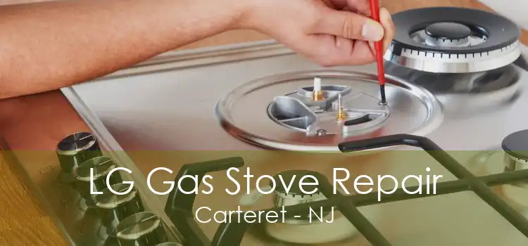 LG Gas Stove Repair Carteret - NJ