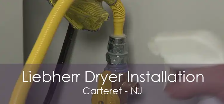 Liebherr Dryer Installation Carteret - NJ