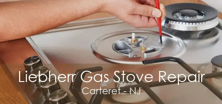 Liebherr Gas Stove Repair Carteret - NJ