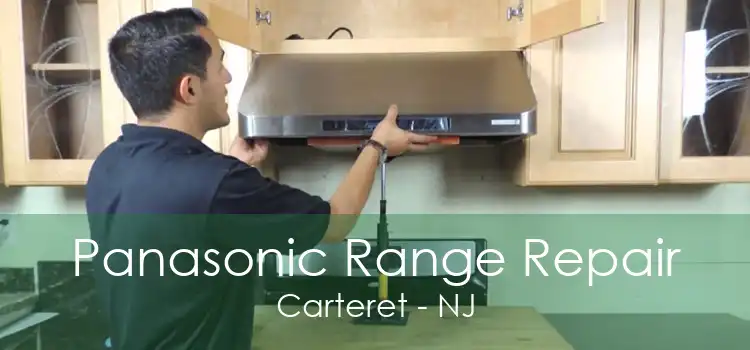 Panasonic Range Repair Carteret - NJ