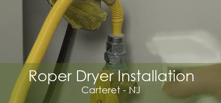 Roper Dryer Installation Carteret - NJ