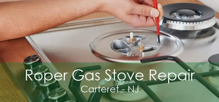 Roper Gas Stove Repair Carteret - NJ