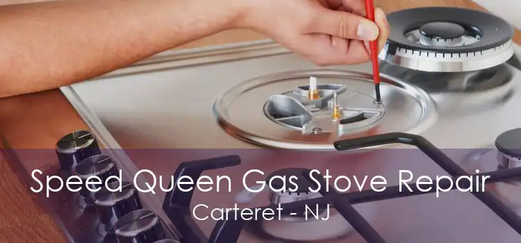 Speed Queen Gas Stove Repair Carteret - NJ