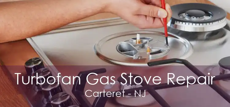 Turbofan Gas Stove Repair Carteret - NJ