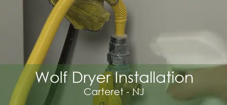 Wolf Dryer Installation Carteret - NJ