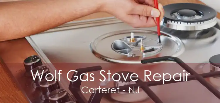 Wolf Gas Stove Repair Carteret - NJ