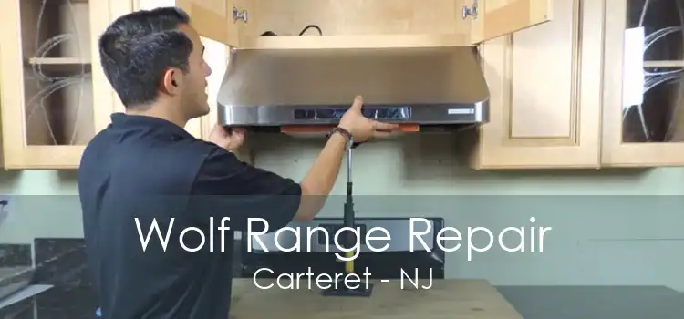 Wolf Range Repair Carteret - NJ